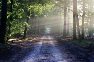 Nature in Addiction Recovery: Why Your Surroundings Matter