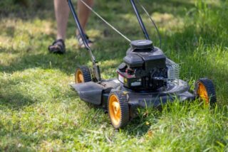 Worn or Damaged Mower Deck Belt? How to Spot the Common Problems