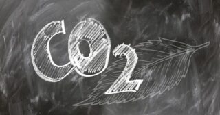 Corporate Carbon Offset Strategy: Quality and Impact in 2025