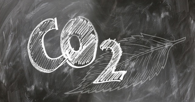 Corporate Carbon Offset Strategy: Quality and Impact in 2025