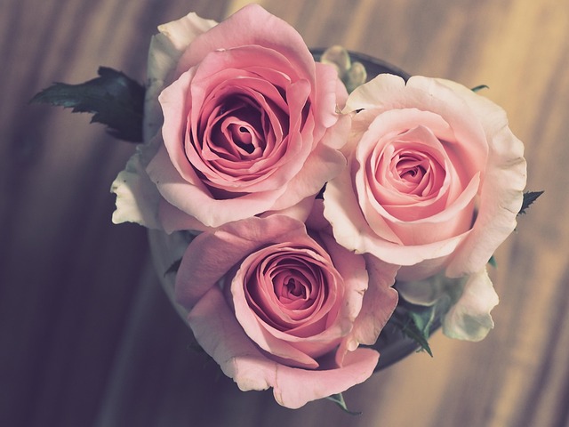 Why Everlasting Roses Are the Perfect Choice for Any Special Occasion?