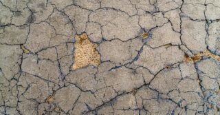 Reducing Runoff and Soil Erosion with Smart Yard Design for a Sustainable Landscape