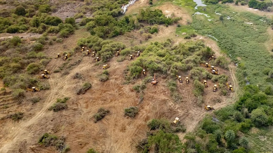 Kancha Gachibowli forest