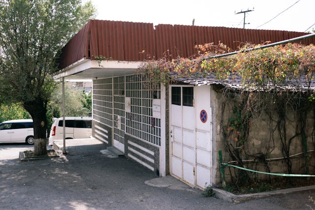Mold and mildew patches on a shaded concrete walkway