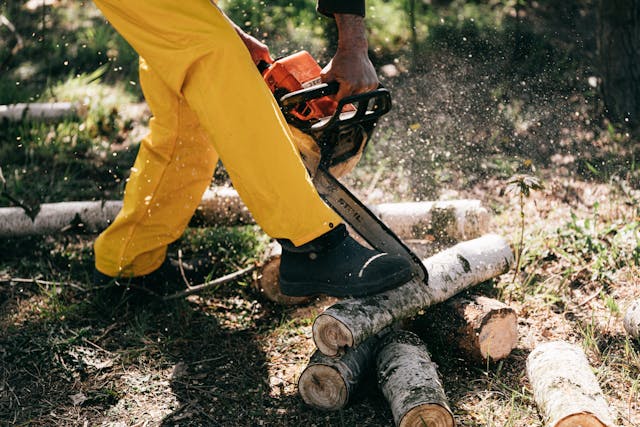 What Are the Most Common Mistakes When Using a Battery Chainsaw for Cutting Firewood?