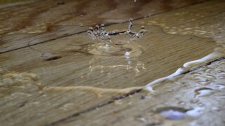 How to Minimize Water Damage While Help is Coming