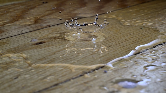 How to Minimize Water Damage While Help is Coming
