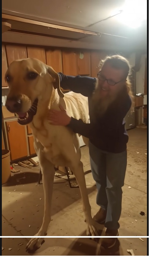 Titan viral dog photo