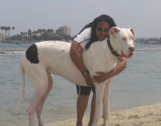 Titan and Diana Taylor