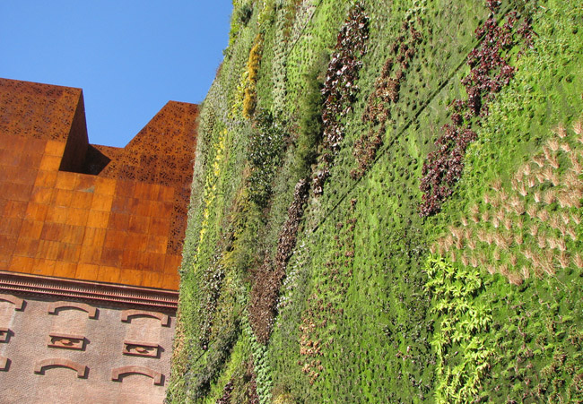 vertical garden