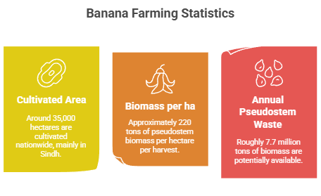 Pakistan Banana Cultivation & Waste Estimates