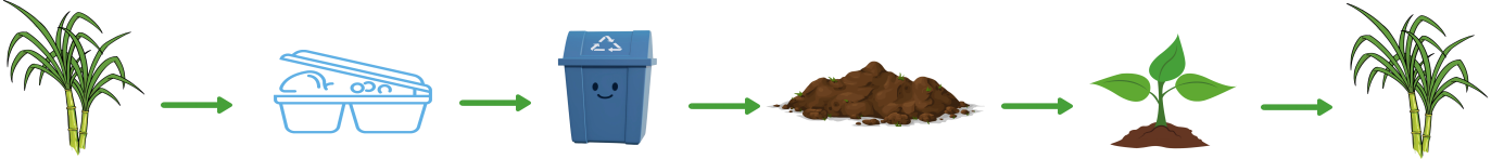 Transformation Process